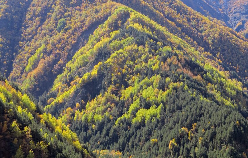 Экскурсия в Мамисон Северная Осетия