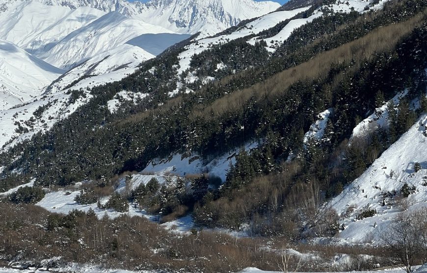 Экскурсия в Мамисон Северная Осетия